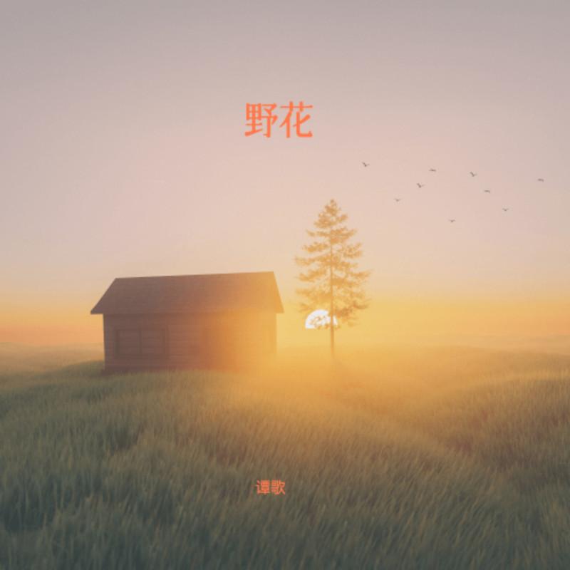 野花 (伴奏)封面