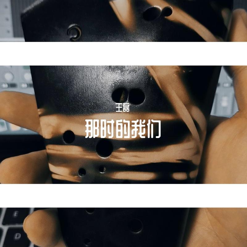 雪中火 - 王磊封面
