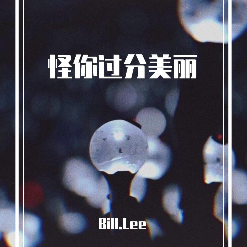 怪你过分美丽封面