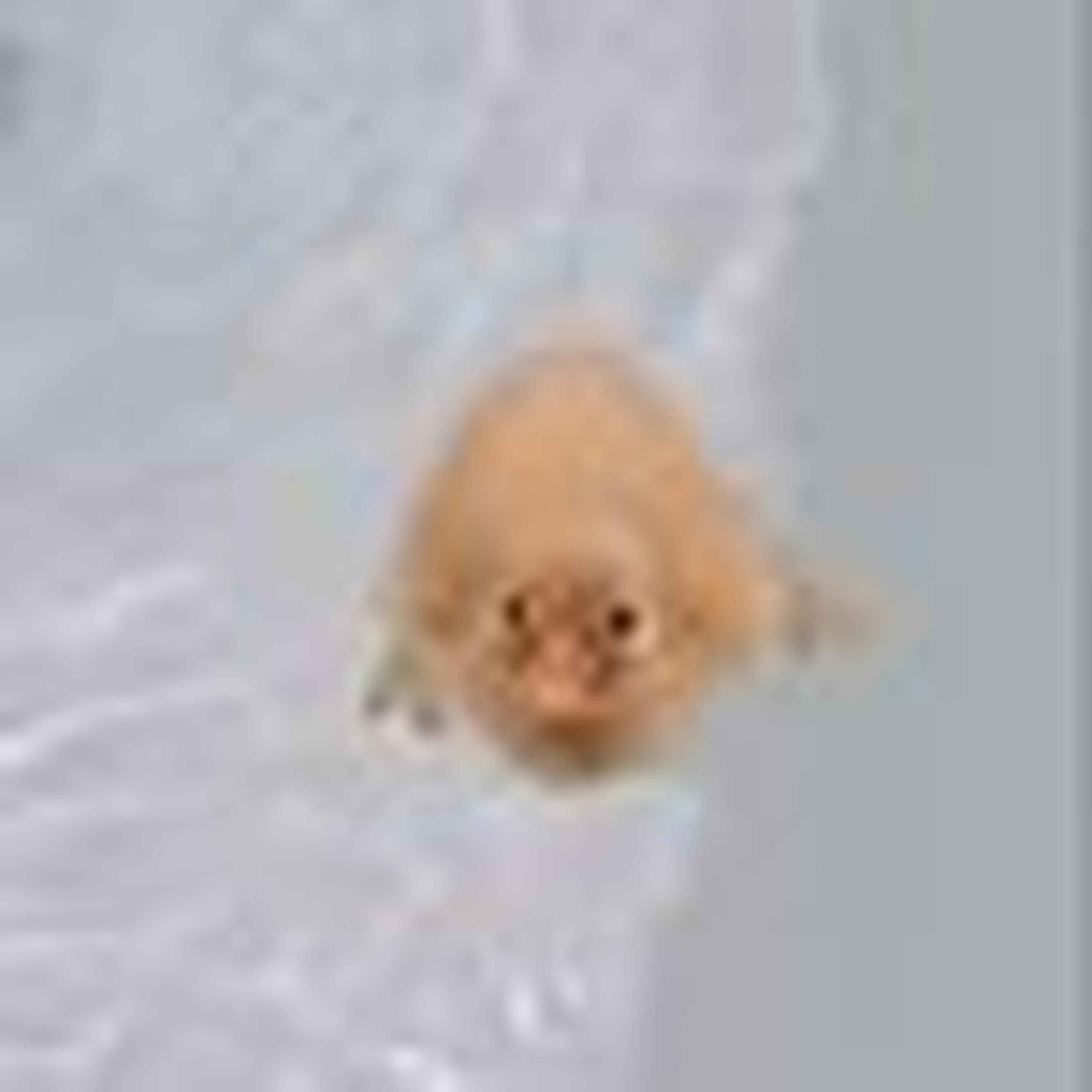 Justine Skye (Speed up)