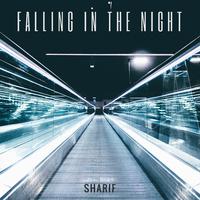 Falling in the Night