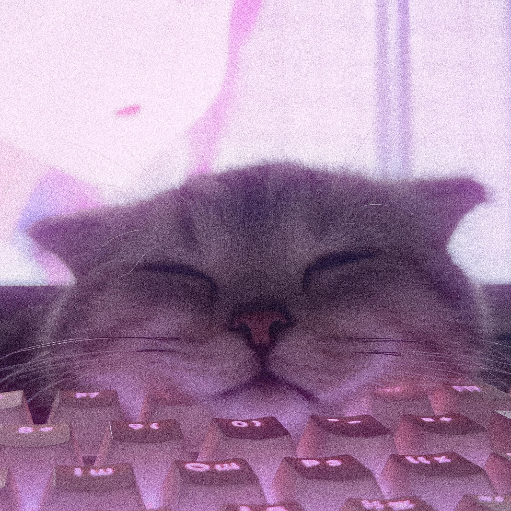 КИСИ-КИСИ МЯУ-МЯУ (Super Slowed)