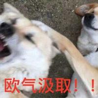 我本逍遥