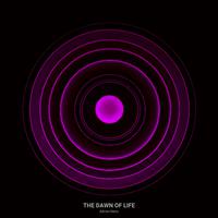 The Dawn of Life (Radio Edit)