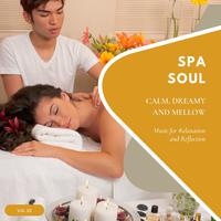 Spa Soul - Calm, Dreamy And Mellow Music For Relaxation And Reflextion, Vol. 10