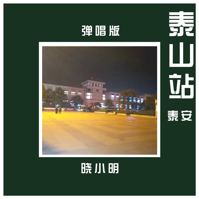泰山站(弹唱版)封面