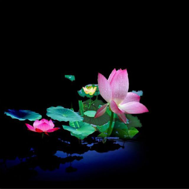 你是我撞的南墙