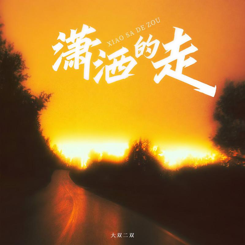 潇洒的走 (伴奏) - 大双二双封面