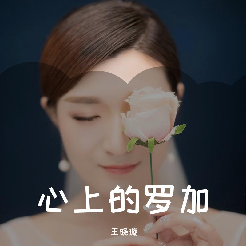 心上的罗加封面