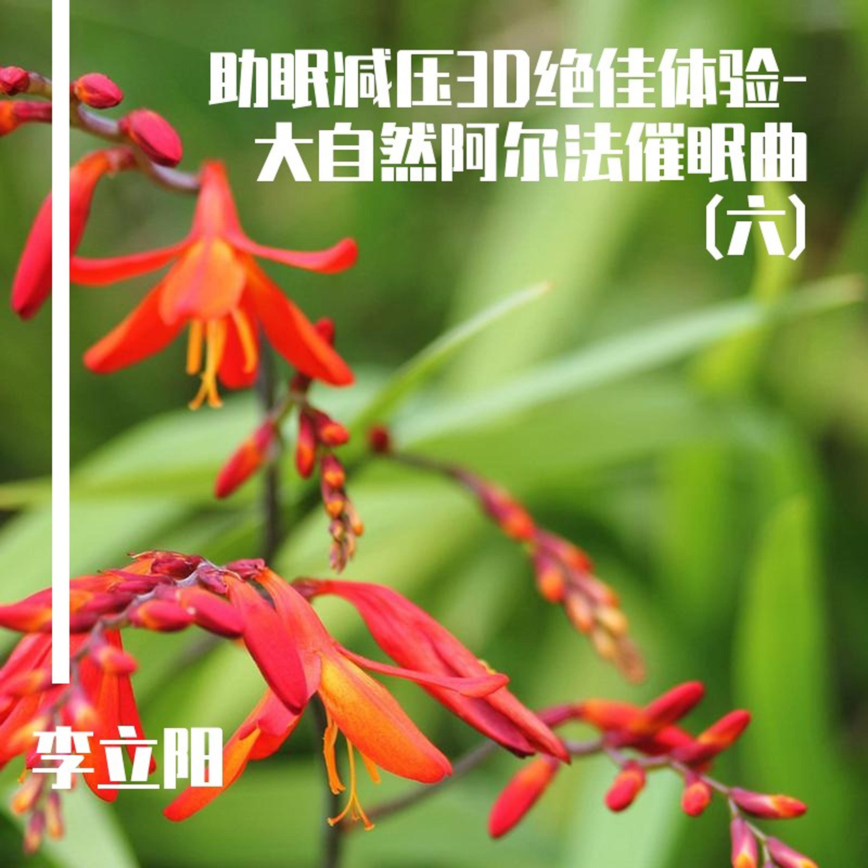 似曾相识 (唯美钢琴曲) - 李立阳封面