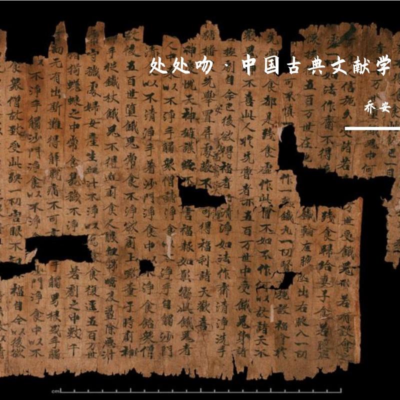 处处吻·中国古典文献学