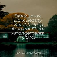 Black Lotus: Dark Beauty over 100 Deep Ambient Floral Arrangements (2024)