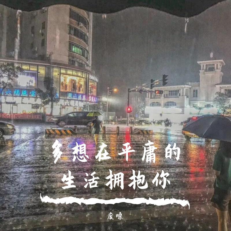 多想在平庸的生活拥抱你(烟嗓版)封面