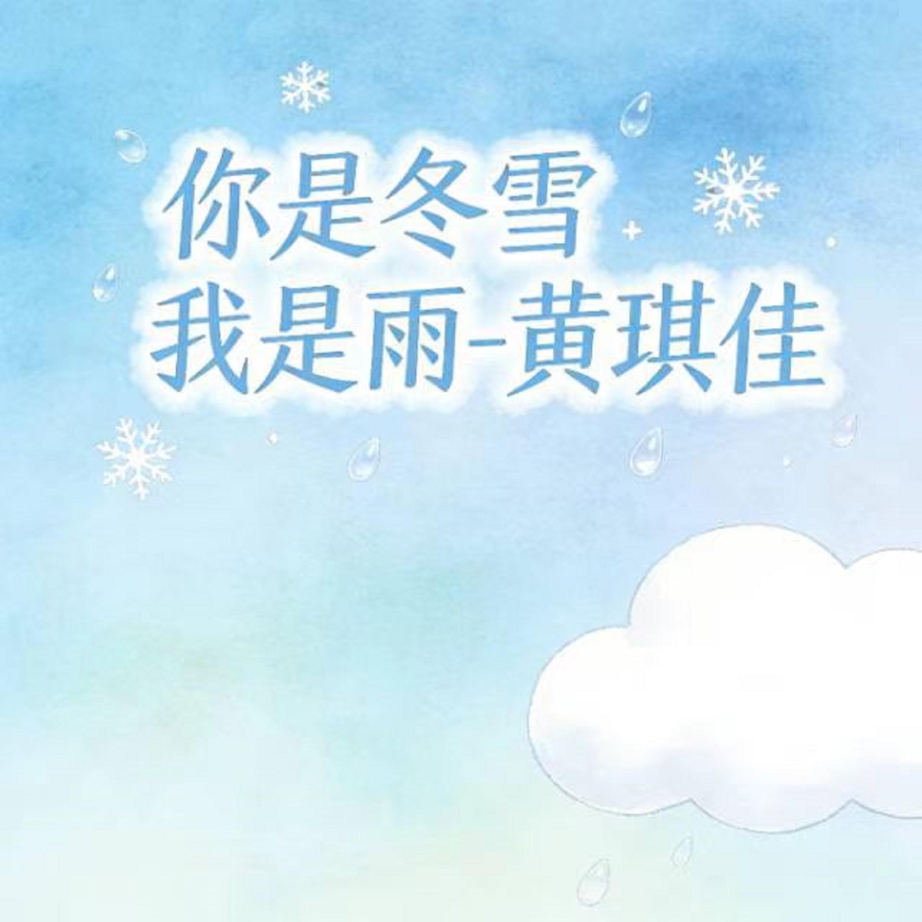 你是冬雪我是雨 (DJ版)封面