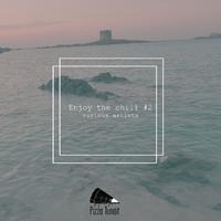 Enjoy The Chill #2