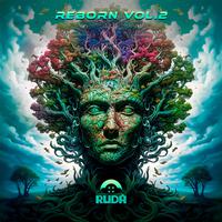 Reborn Vol.2