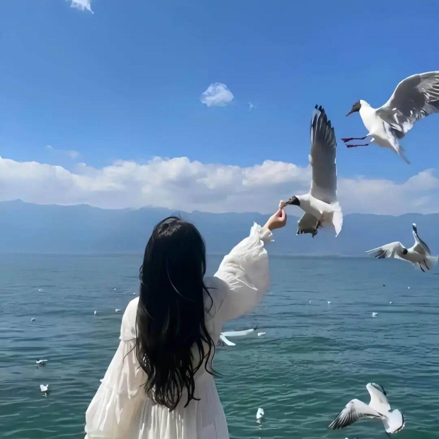 蓝眼泪(女版)封面