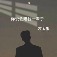 你说会陪我一辈子