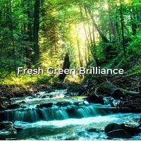 Fresh Green Brilliance