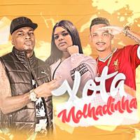 Xota Molhadinha (feat. DJ Chavoso) (Brega Funk)