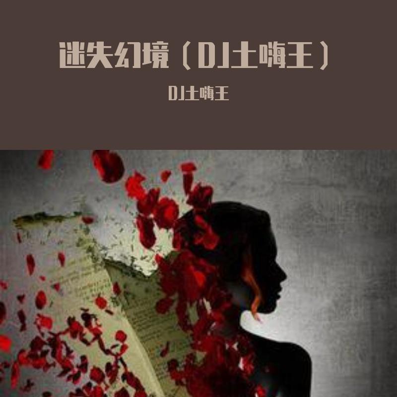 迷失幻境（硬曲版DJ）封面