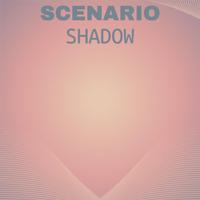 Scenario Shadow