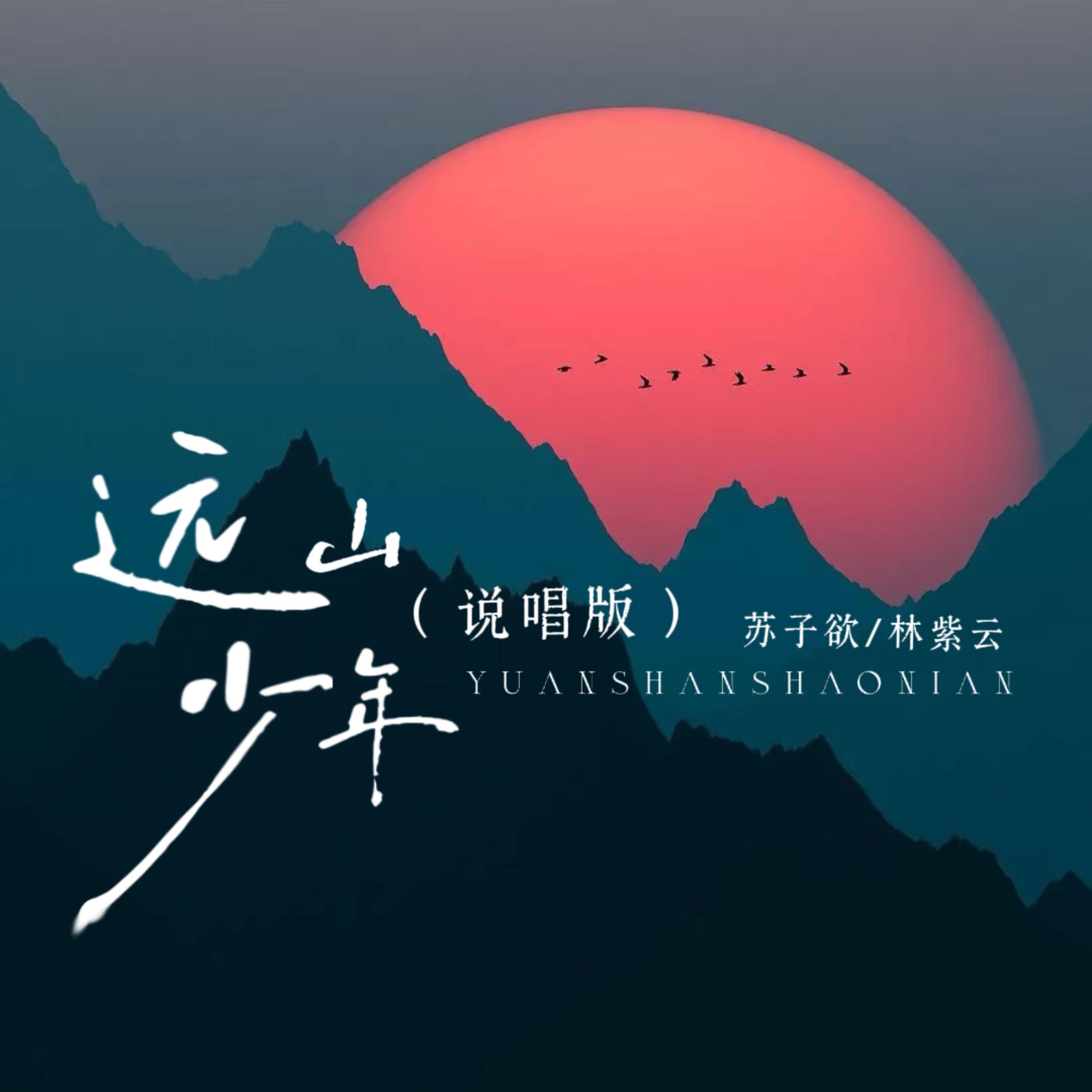 远山的少年心无疆封面