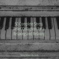 50 Complete Stress Relief Collection for a Relaxing and Relaxing