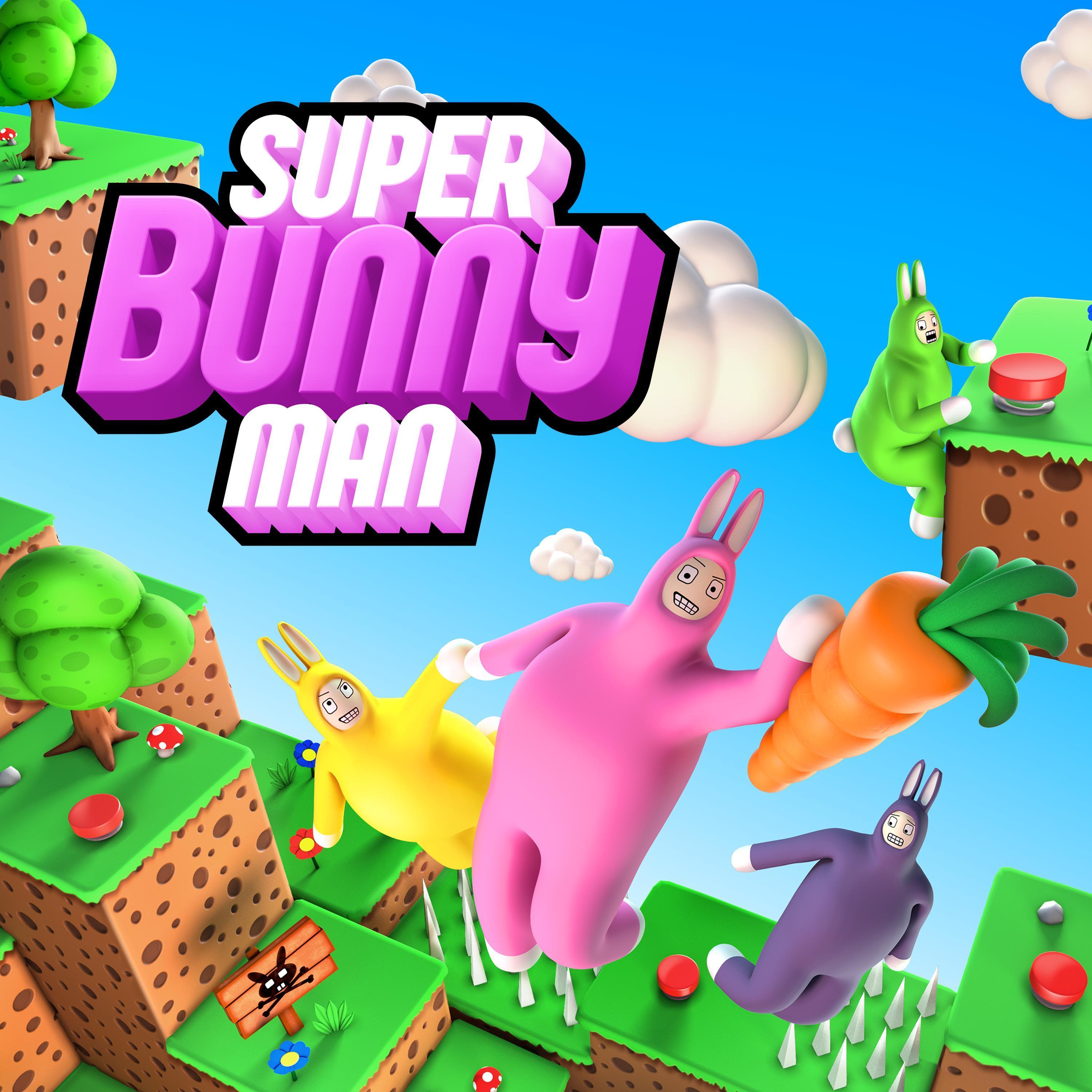 Snowy Summit封面