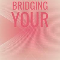 Bridging Your