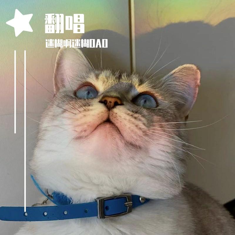 如愿 2022 EVA-1.mp3