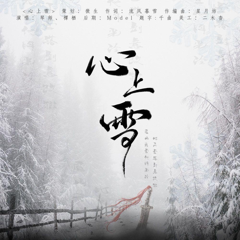 心上雪 伴奏版封面