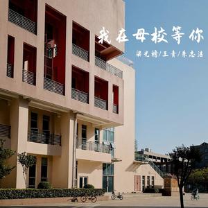 我在母校等你