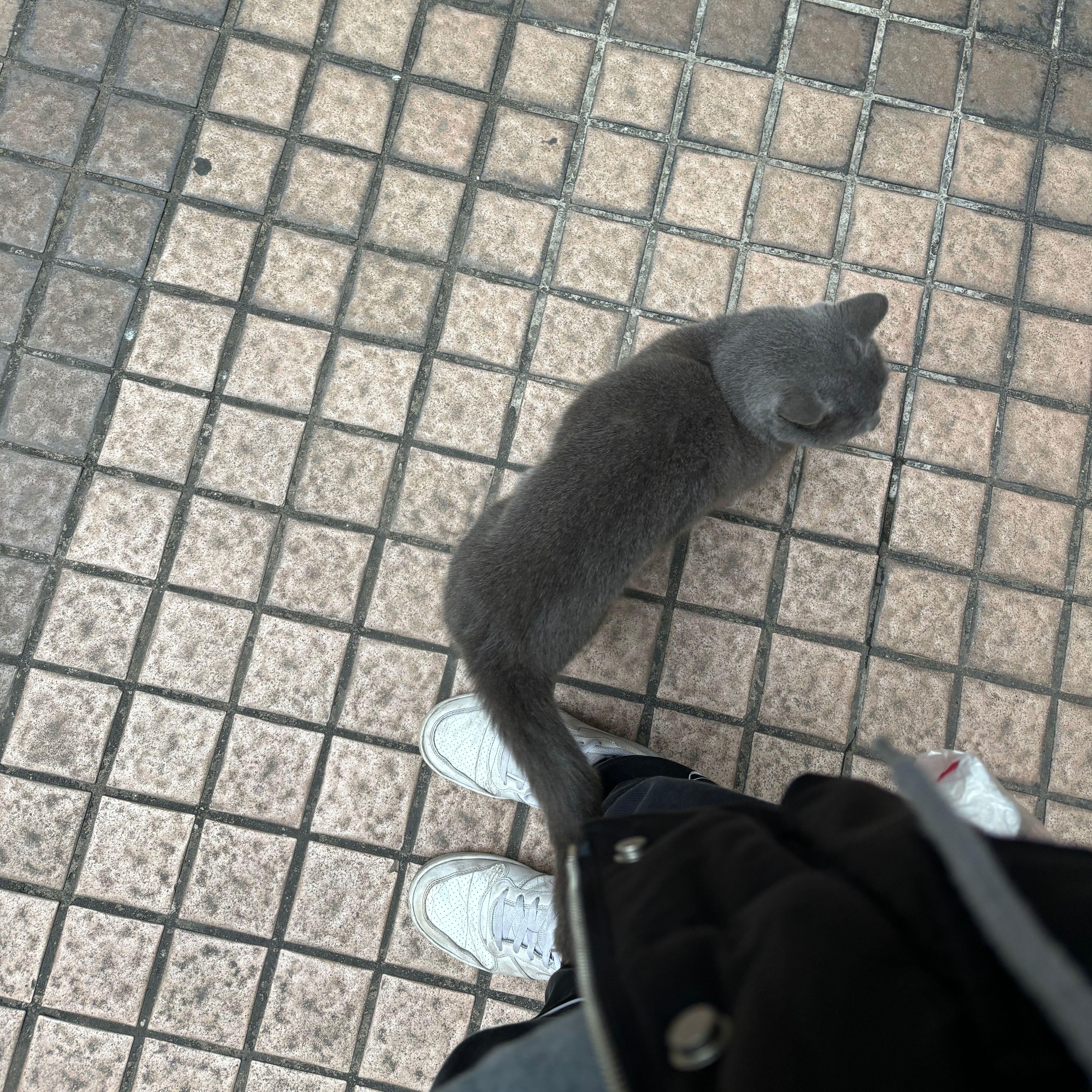 LETSGO（Prod. JAE）