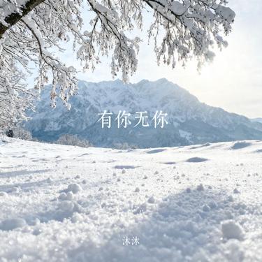 有你无你 (Cover 毛不易)封面