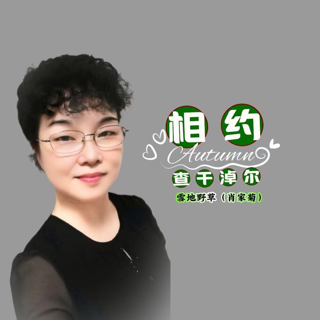相约查干淖尔封面
