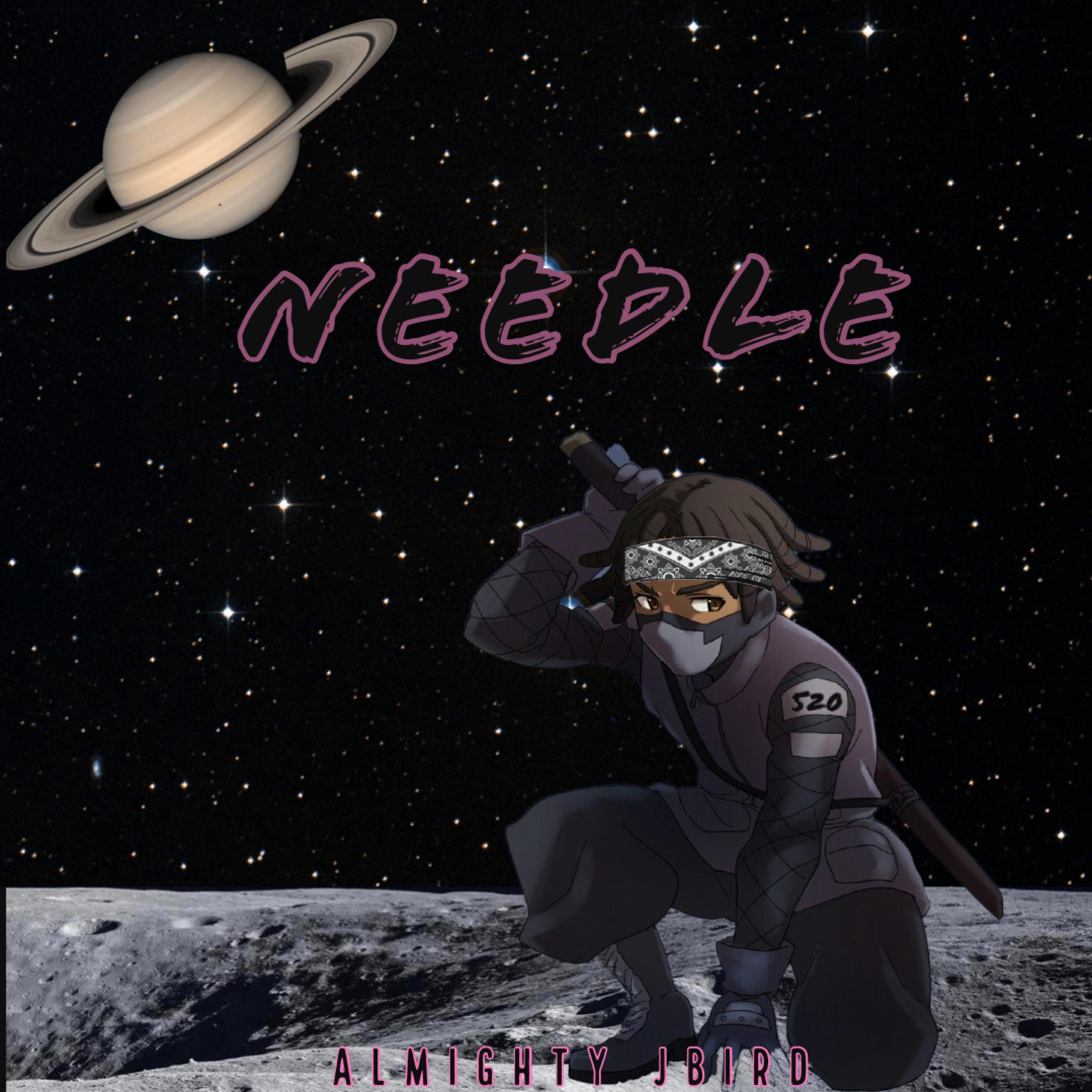 Needle