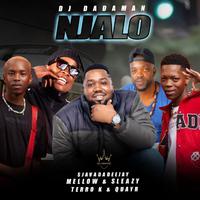 Njalo (feat. Mellow & Sleazy, SjavasDaDeejay, Terro k & QuayR)