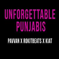 Unforgettable Punjabis