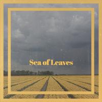 Sea of Leaves