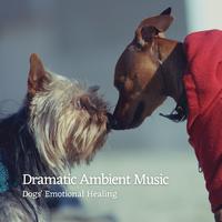 Dramatic Ambient Music: Dogs' Emotional Healing