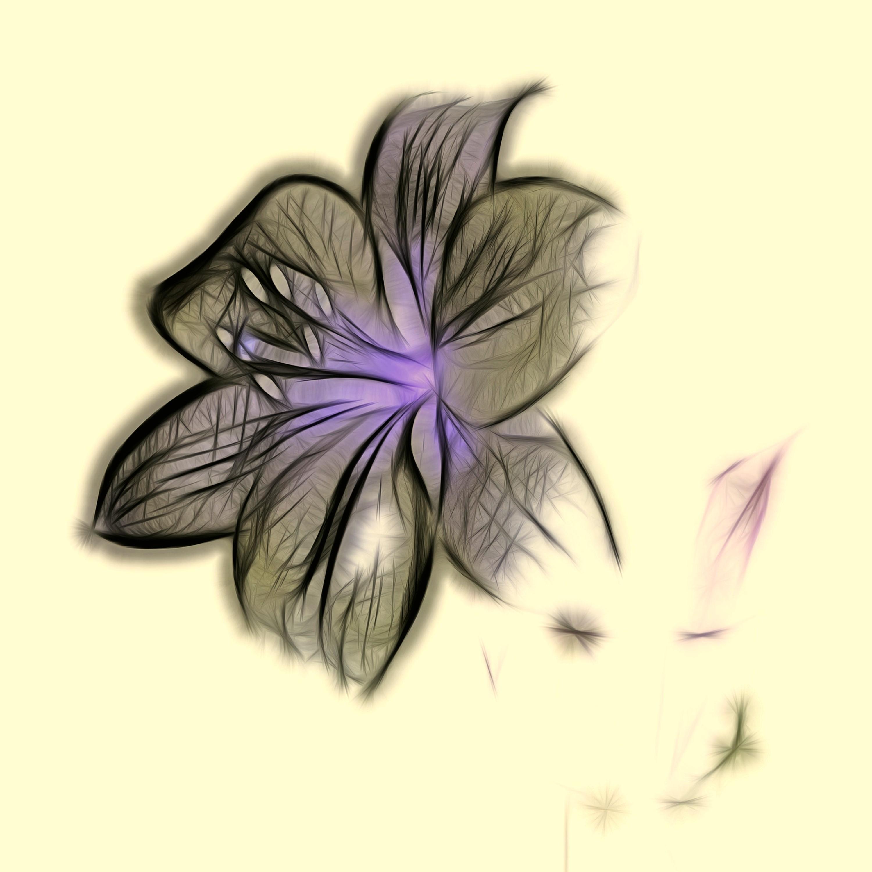 Boccherini (Original Mix)