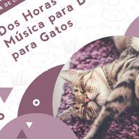 Música Relajante para Gatos