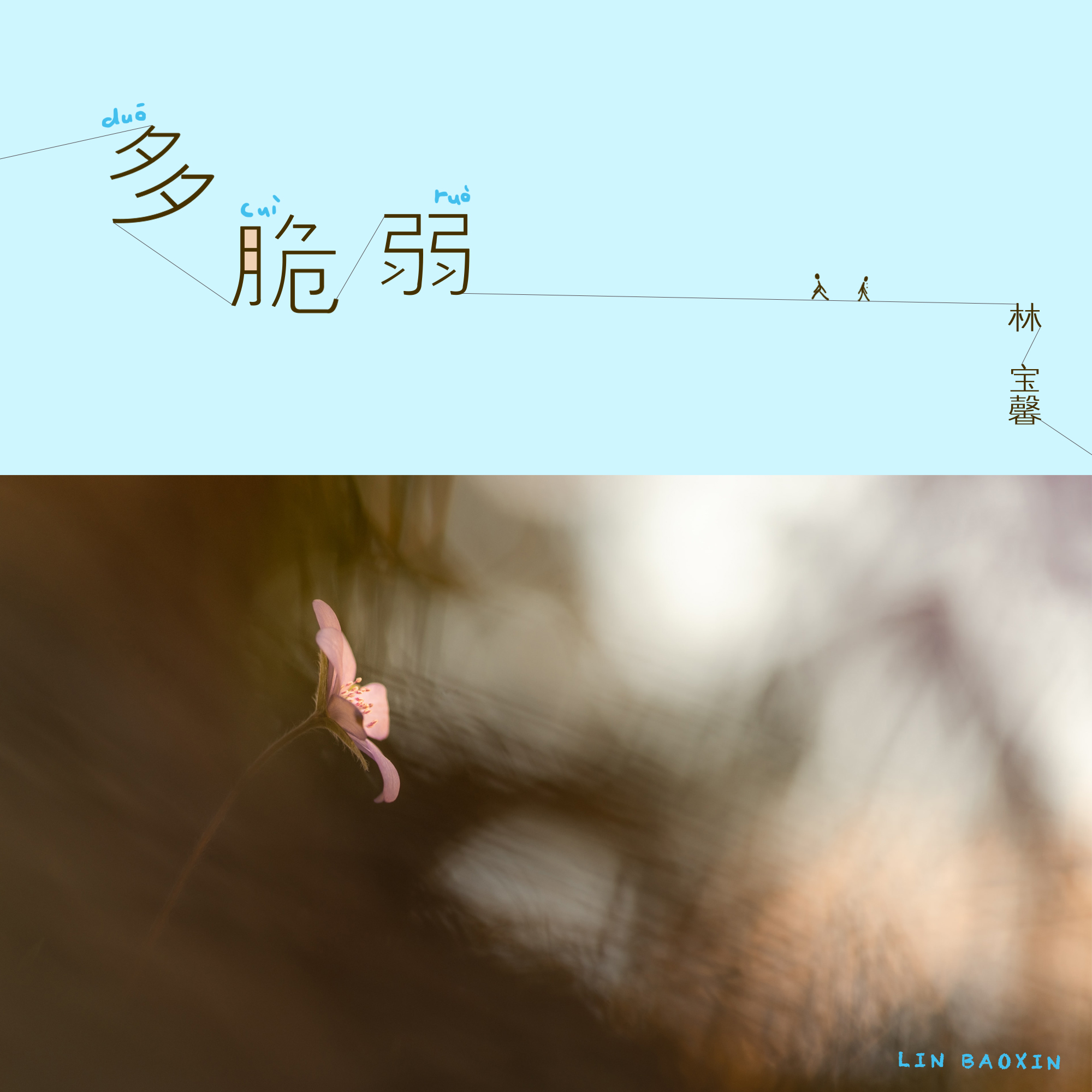 多脆弱封面