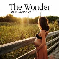 The Wonder of Pregnancy (Beautiful & Relaxing Nature Sounds, Peaceful Hypnobirthing, Painless Natural Childbirth)