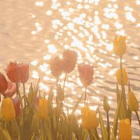 耶律阿宝菇资料,耶律阿宝菇最新歌曲,耶律阿宝菇MV视频,耶律阿宝菇音乐专辑,耶律阿宝菇好听的歌