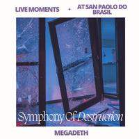 Live Moments (At San Paolo Do Brasil) - Symphony Of Destruction (Live)