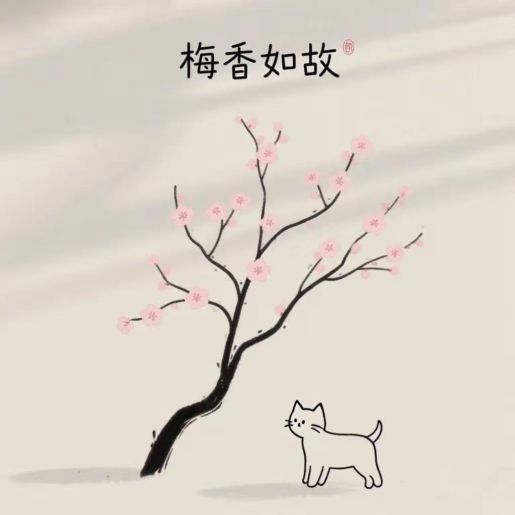 梅香如故（Cover：毛不易/周深）封面