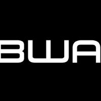 B.W.A Gang