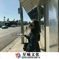 酒醉的蝴蝶 (DJ版) - 韩子曦封面